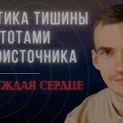Пробуждение В Тишине