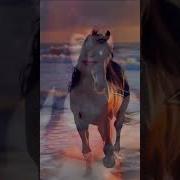 Без Неё Совсем Не То