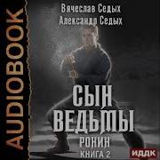 Сын Ведьмы Книга 2 Ронин