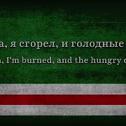 Набьют Свои Животы