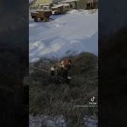 Суровая Русская Баба