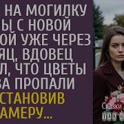Новые Рассказы Так Не Бывает