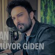 Tarkan Yeni 2025