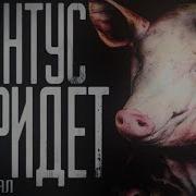 Свинтус Придет 3