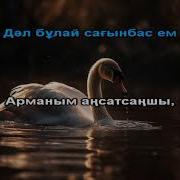 Жібек Сезім Минус