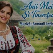 Meodii Infinite Anii Mei Și Tinerețea Cover 2026