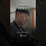 Товина Шавкия