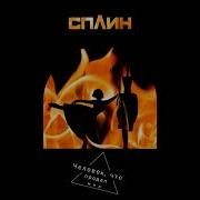 Сплин Новый Альбом