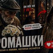 Bear Sound Ромашки