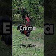 Эма Ма Эма Хет