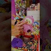 Ку Ку В Чижике Вакуку