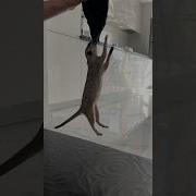 Ну Это Профессионально