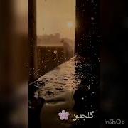 Мухсин Човуши Кафе Пур Аз Одами Русиёхе