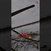 Там Арта Запела В Небе