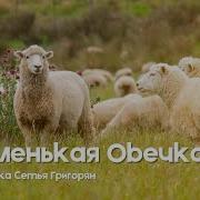 Я Маленькая Овечка