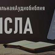 Книга Числа