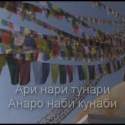Ари Нари Тунари