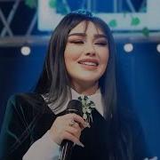 Ele Gecenin Bir Alemi