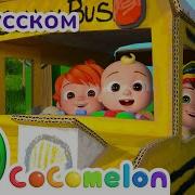 Сосо Моле О Моле