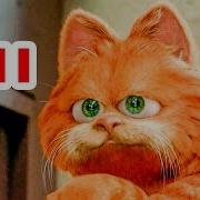 Гарфилд 1 Фразы