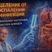 Лечебные Частоты Шмидта