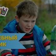 Ералаш Волшебный Карасик