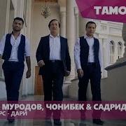 Чурабек Мурод
