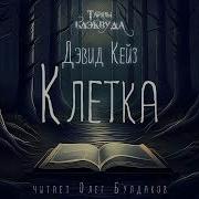 Аудиокнига Дэвид Кейз