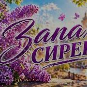 Запах Сирени Шансон