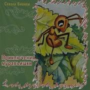 Где Раки Зимуют Бианки