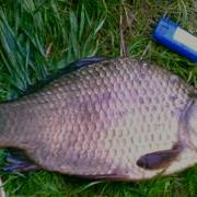 Музыка Для Игры В Рыбалку