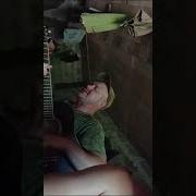 Песни Сво Новые