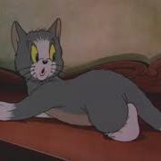 За Что Наказали Кота