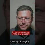 Шелест Чаплыга