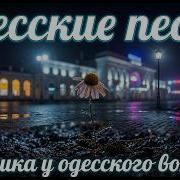Ромашка У Одесского Вокзала