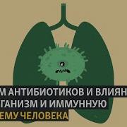 Антибиотик Что Происходит
