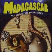 Madagascar 1 Fossa Theme