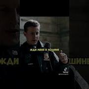 Голубая Кровь