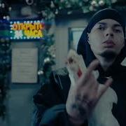 Hooligan