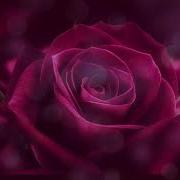 Я Подарю Тебе Розу Remix