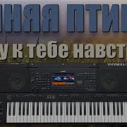 Кавер Я Иду Тебе Навстречу