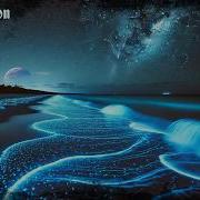 Daphnia Bioluminescence Original Mix