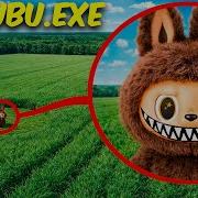 Дим Димыч Лабубу