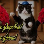 Кот Пожелание Доброго Утра