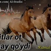 Dadaxon Xasanov Yigitlar Ot Minmay Qo Ydi 2018 Дадахон Хасанов