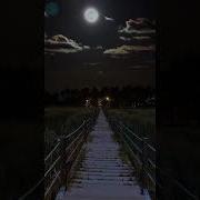 Night Loam Sunset