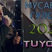 Мусавири Гулоб