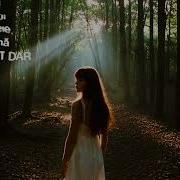 Sunt Femeie Sunt Mama