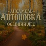 Антоновка Осенний Лес