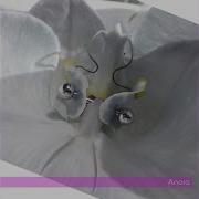 Anora